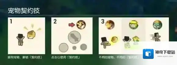 海岛纪元宠物有哪几种 宠物类型及技能介绍