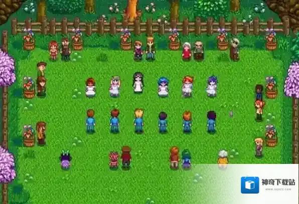 星露谷物语夏天种什么赚钱