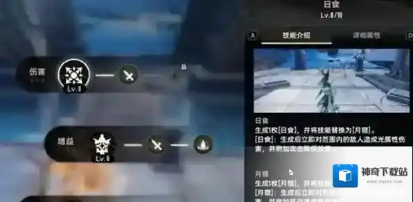 二重螺旋尔夫人