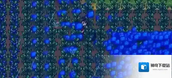 星露谷物语夏天种植作物推荐-星露谷物语夏天种植什么作物