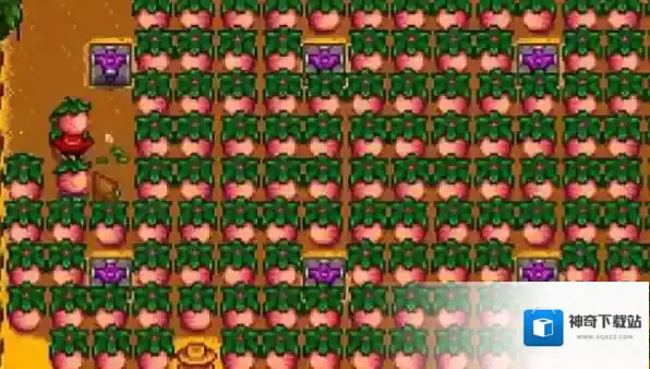 星露谷物语生长周期