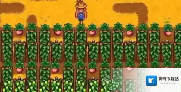 星露谷物语作物