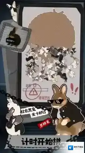 挤在一起的兔兔兔兔