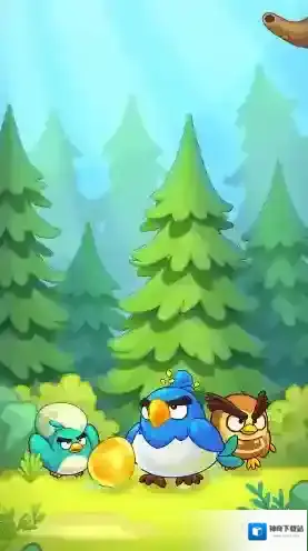 萌鸟总动员可爱的小鸟