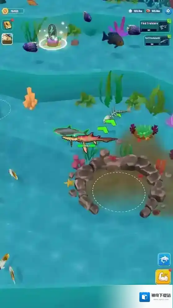 鲨鱼进化海洋之战海洋生物