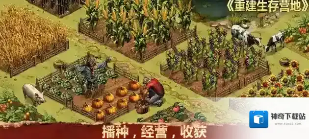 重建生存营地探索