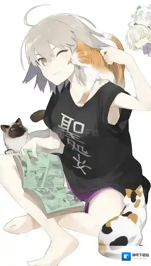 fgo6月1日维护更新内容 fgo6月1日维护更新了什么