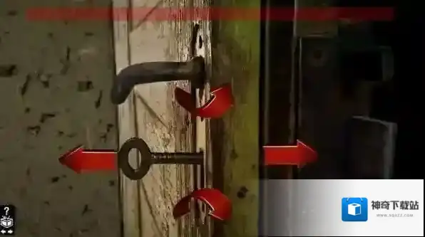 木箱樟Cedar chest探索