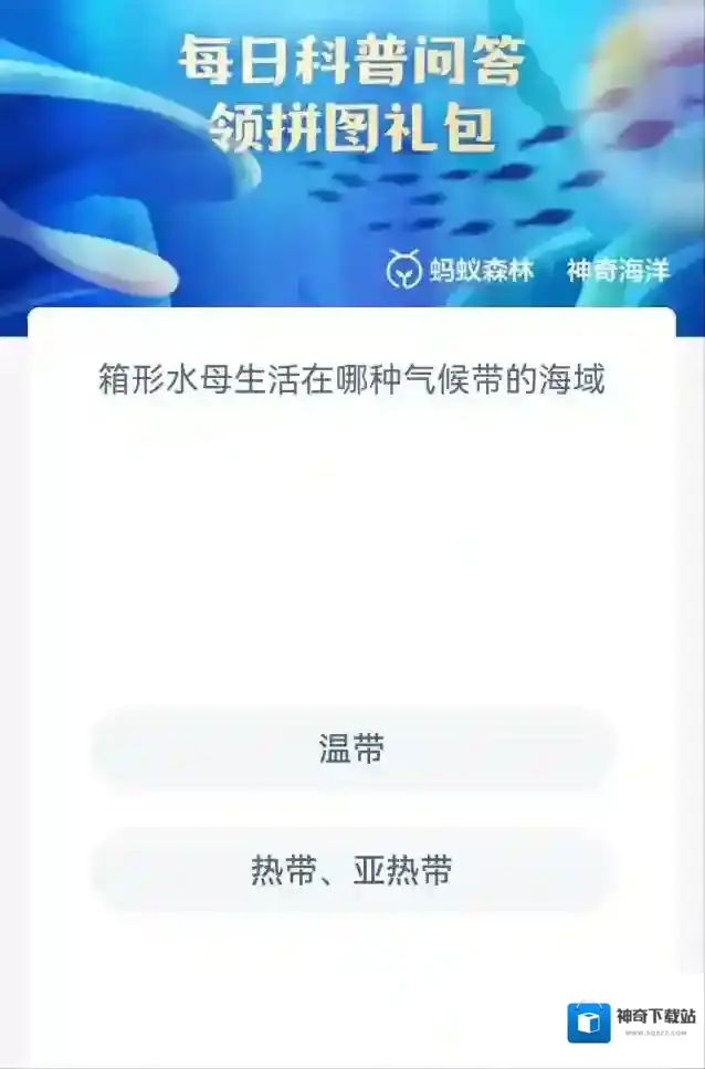 支付宝亚热带
