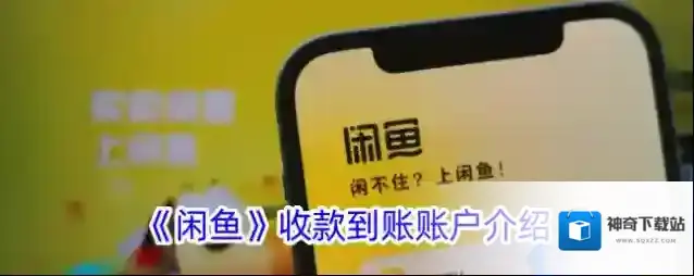 闲鱼收款
