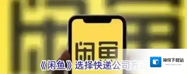 《闲鱼》选择快递公司方法