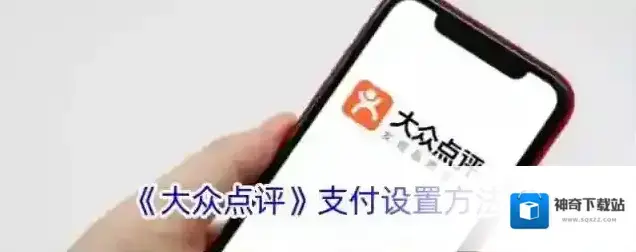 《大众点评》支付设置方法