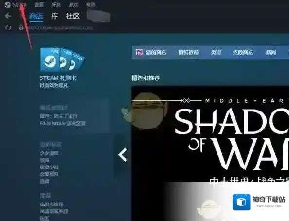 Steam设置