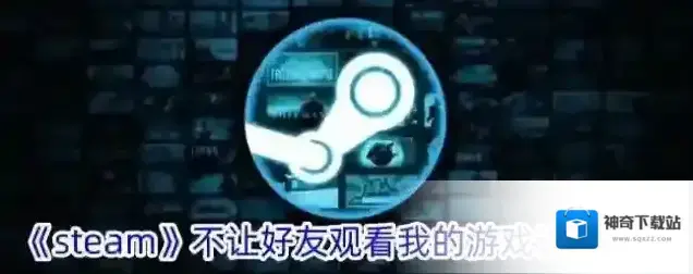 《steam》不让好友观看我的游戏设置方法