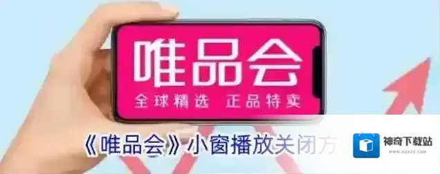 《唯品会》小窗播放关闭方法