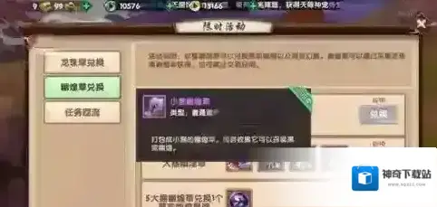 寻仙黑鸾