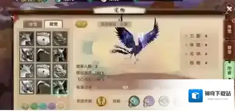寻仙兑换