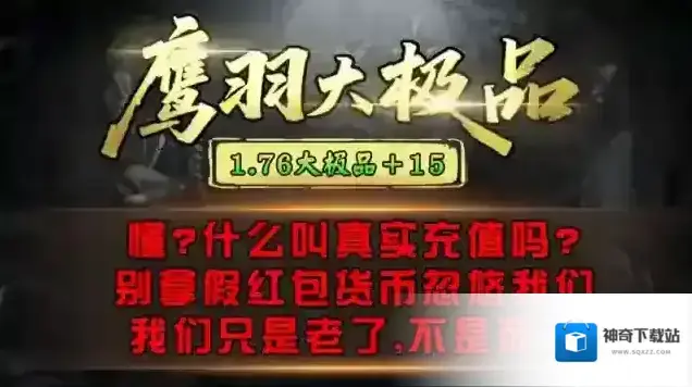 鹰羽76大极品金币