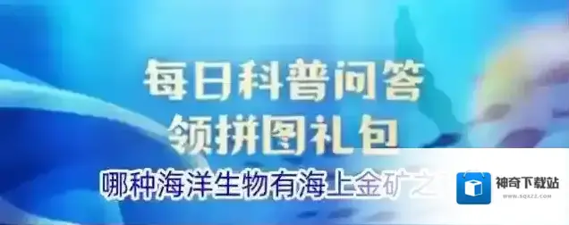 哪种海洋生物有海上金矿之称
