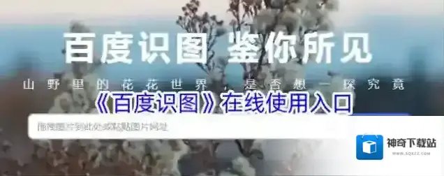 《百度识图》在线使用入口