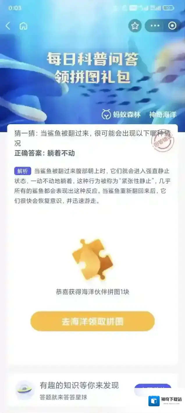 支付宝海洋