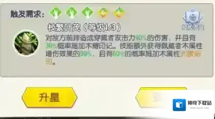 光明冒险释放